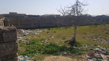xaşaxunada torpaq satilir: 19 sot, Mülkiyyətçi, Kupça (Çıxarış)