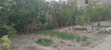 upd qesebesinde satilan evler: 1 otaqlı, 20 kv. m, Kredit yoxdur, Orta təmir — 8