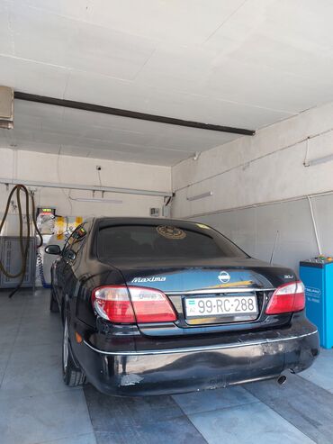 Nissan: Nissan Maxima: 2 l | 2006 il Sedan — 11