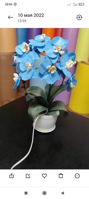 орхидея цветок: Светильник светилик светильник светильник светилик светильник примаю