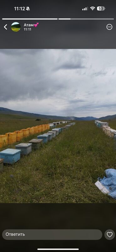 бутилированная вода бишкек цена: 🐝 100% натуральный мёд, без сахара и лишней фигни. Первый сбор —
