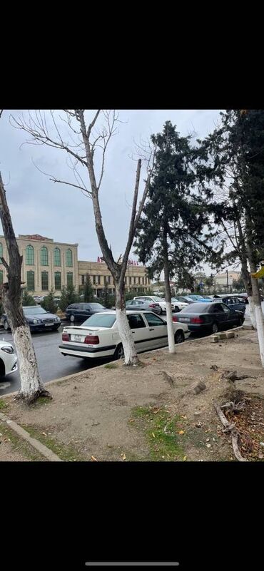 Digər kommersiya daşınmaz əmlakı: Nizami rayonu Babək prospektində,sahəsi 200 kv/m olan, obyekt — 4