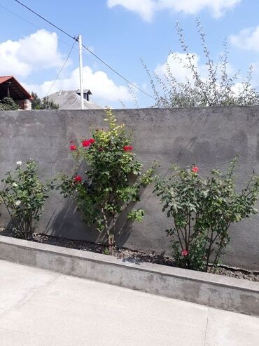 Həyət evləri və villaların satışı: 5 otaqlı, 600 kv. m, Yeni təmirli — 8