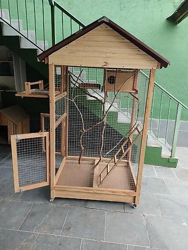 at satışları: ✨ Sevimli heyvanlarınız üçün əl işi qəfəs və yuvalar 🏠💛 🦜 Quşlar, 🐕‍🦺 — 9