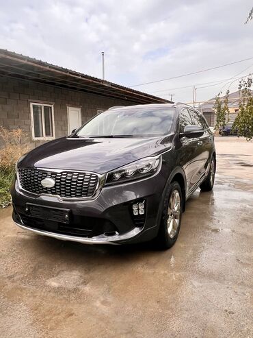 Kia: Kia Sorento: 2019 г., 2 л, Автомат, Дизель, Кроссовер — 5