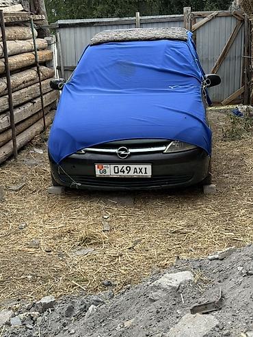 Продажа авто: Opel Corsa: 2003 г., 1.2 л, Механика, Бензин, Хэтчбэк — 4