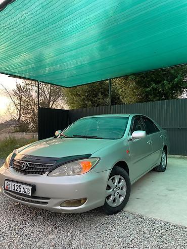 toyota kamry: Toyota Camry: 2004 г., 2.4 л, Автомат, Бензин, Седан — 1