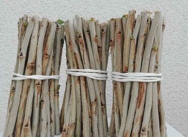 malina.kg продажа малины оптом в бишкеке новопокровка фото: Продаём саженцы смородины карагаттын кочоттору сатылат 1жылдык 2жыллык