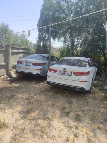 полик на киа к5: Kia K5: 2019 г., 2 л, Автомат, Газ, Седан