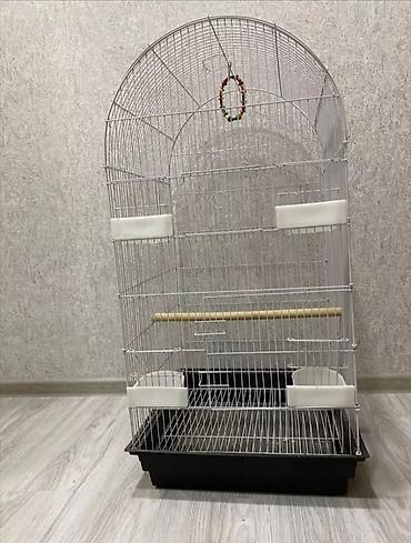 Животные: Her olcude her ceside qefeslermiz var her regde qefesler movcudur — 9