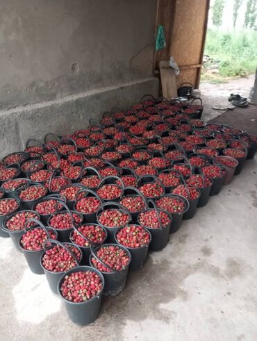 Масло, консервы: Масло, консервы — 2