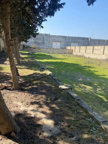 Torpaq sahələrinin satışı: 10 sot, Tikinti, Makler, Kupça (Çıxarış) — 11