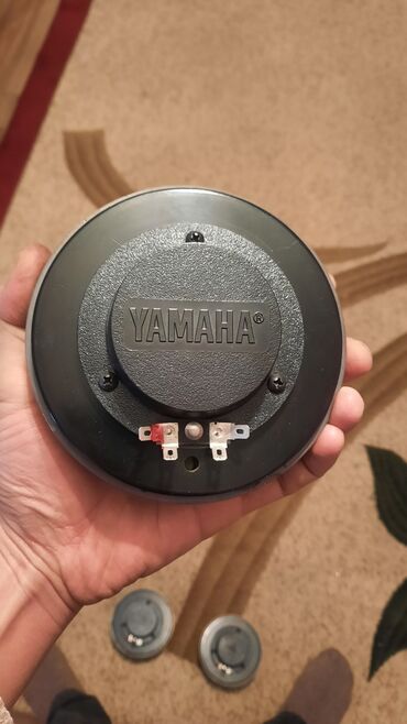 Elektronika: Yamaha eminence original pişalka maqnitli problemi yoxdur təmirə