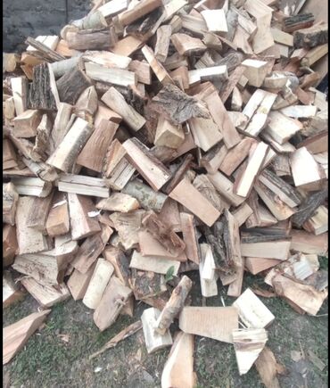 купить дрова в токмаке: Дрова Карагач, Платная доставка