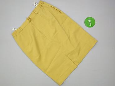 zara basic spódnice: Spódnica damska, rozmiar 2XL — 3
