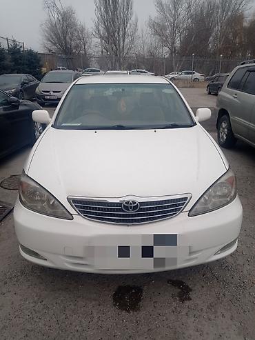 windom 2003: Toyota Camry: 2004 г., 2.4 л, Автомат, Бензин, Седан — 1