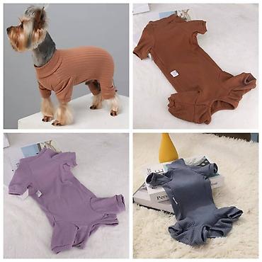 Зоотовары: Продаю игрушку/когтеточку/лежанку 3в1,с кошачей мятой,вашему котику at lalafo.kg — 27 Зоотовары: Продаю игрушку/когтеточку/лежанку 3в1,с кошачей мятой,вашему котику — 27