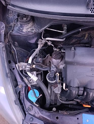 Honda: Honda Jazz: 2007 г., Хэтчбэк — 8