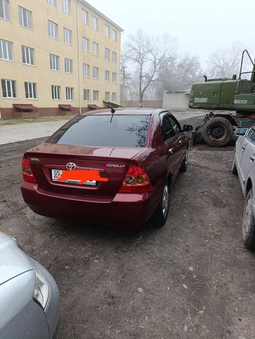 королла 2004: Toyota Corolla: 2004 г., 1.6 л, Механика, Бензин, Седан