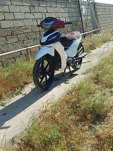купить мопед в кредит: Moped tipli motosiklet – şəhər içi gediş-gəliş üçün praktik model — 2