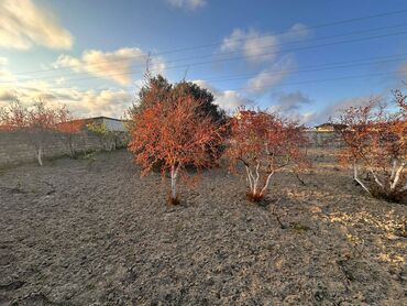 Həyət evləri və villaların satışı: Buzovna 3 otaqlı, 50 kv. m, Orta təmir — 10