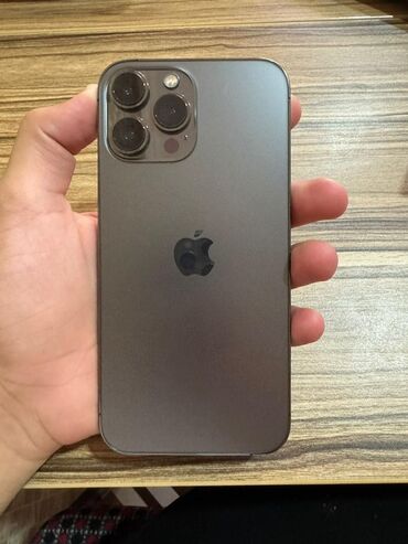 Apple iPhone: IPhone 13 Pro Max, Graphite, Face ID