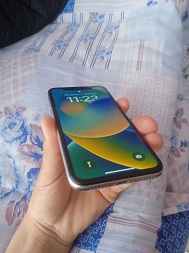 Apple iPhone: IPhone X, Серебристый — 5