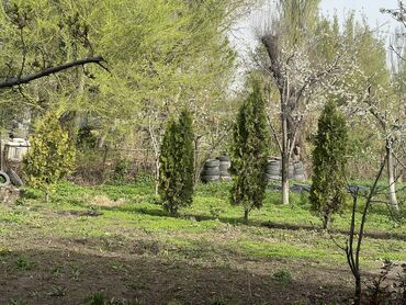 Продажа домов: Дом, 200 м², 13 комнат, Собственник, Косметический ремонт — 11