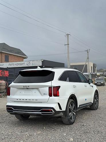 защита капота: Kia Sorento: 2022 г., 1.6 л, Автомат, Гибрид, Кроссовер — 6