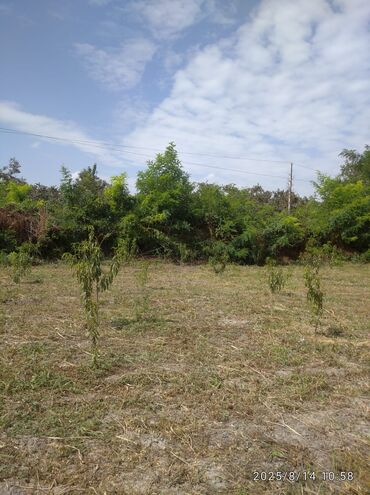 Torpaq sahələrinin satışı: 13 sot, Kənd təsərrüfatı, Barter mümkündür, Kupça (Çıxarış) — 10