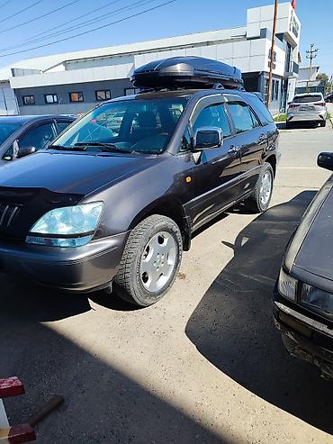 Lexus: Lexus RX: 2002 г., 3 л, Автомат, Внедорожник — 14