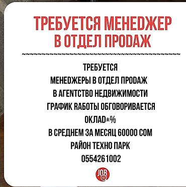 парик сатылат: Талап кылынат Сатуу боюнча менеджер, Иш тартиби: Ийкемдүү график, Волонтёрдук иш, Акы төлөнүүчү өргүү — 1