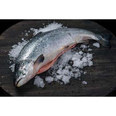 мороженое купить оптом: Замороженный, 7 кг, 8 кг, Самовывоз, Бесплатная доставка, Платная доставка
