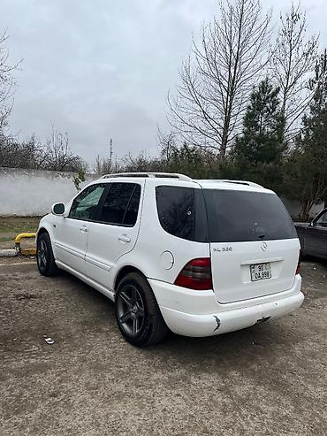 c250 mercedes: Mercedes-Benz ML 320: 3.2 l | 1998 il Ofrouder/SUV — 5