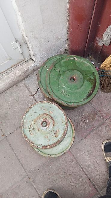 Ştanqlar və ştanq diskləri: Dəmir qantel/ştanga diskləri - Material: tökmə dəmir - Çəkilər — 2