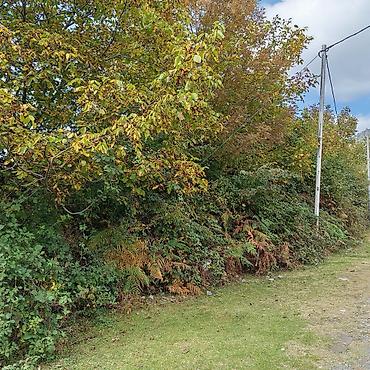 Torpaq sahələrinin satışı: 16 sot, Kənd təsərrüfatı, Makler, Kupça (Çıxarış) — 4