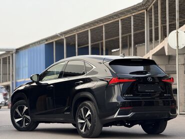 Lexus: Lexus NX: 2019 г., 2.5 л, Вариатор, Гибрид, Кроссовер — 6
