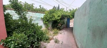 naxcivan ev elanlari 2020: 3 otaqlı, 55 kv. m, Orta təmir