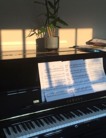 частные уроки игры на фортепиано: Уроки игры на фортепиано | Индивидуальное