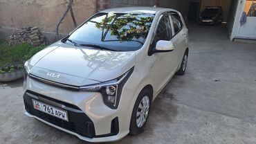 датчик положения дроссельной заслонки опель вектра б: Kia Picanto: 2023 г., 1 л, Автомат, Бензин, Хетчбек