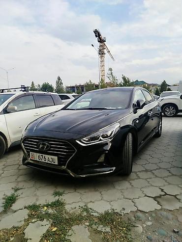 Hyundai Sonata: 2017 г., 2 л, Автомат, Газ, Седан