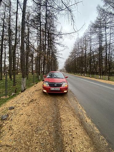 Toyota: Toyota Corolla: 2003 г., 2 л, Механика, Бензин, Универсал — 19