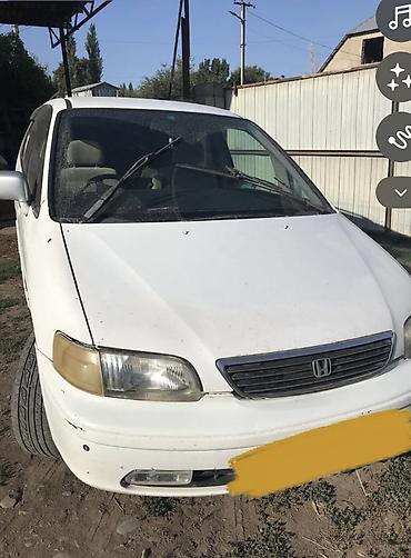 кастом мото: Honda Odyssey: 1997 г., Автомат — 1