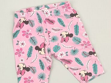 Legginsy: Legginsy, Fox&Bunny, 3-6 miesięcy, stan - Bardzo dobry