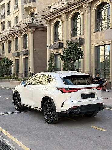 lexus: Lexus NX: 2023 г., 2.5 л, Автомат, Гибрид, Кроссовер — 8