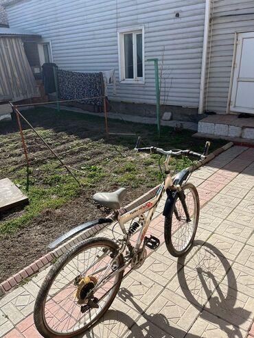 Горные велосипеды: Горные велосипеды (несколько штук на фото) - Класс — 6