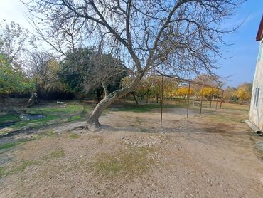 Həyət evləri və villaların satışı: 🏡 Satılır: 2 mərtəbəli həyət evi – Ağsu rayonu, Ərəbmehdibəy kəndi 📍 — 15