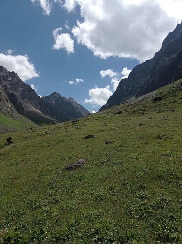 электро пастух: Талап кылынат Чабан, Төлөм Күн сайын