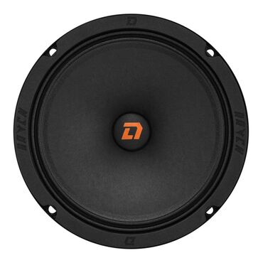 Унаа үчүн динамиктер: Dl audio raven 165 v.2 — надежный эстрадный динамик с ультравысокой