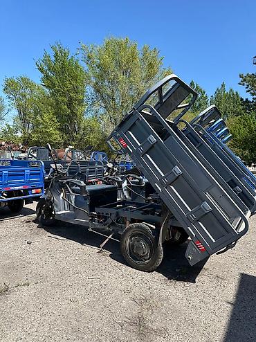 Мотороллеры муравей: Мотороллер муравей Электро, 60 км, 1000 - 1499 кг, Новый — 8